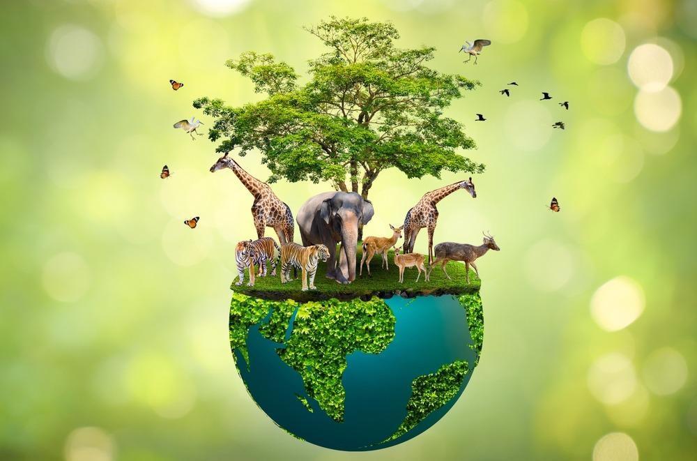 Wildlife ⁢Adventures in Tanzania ​and Kenya